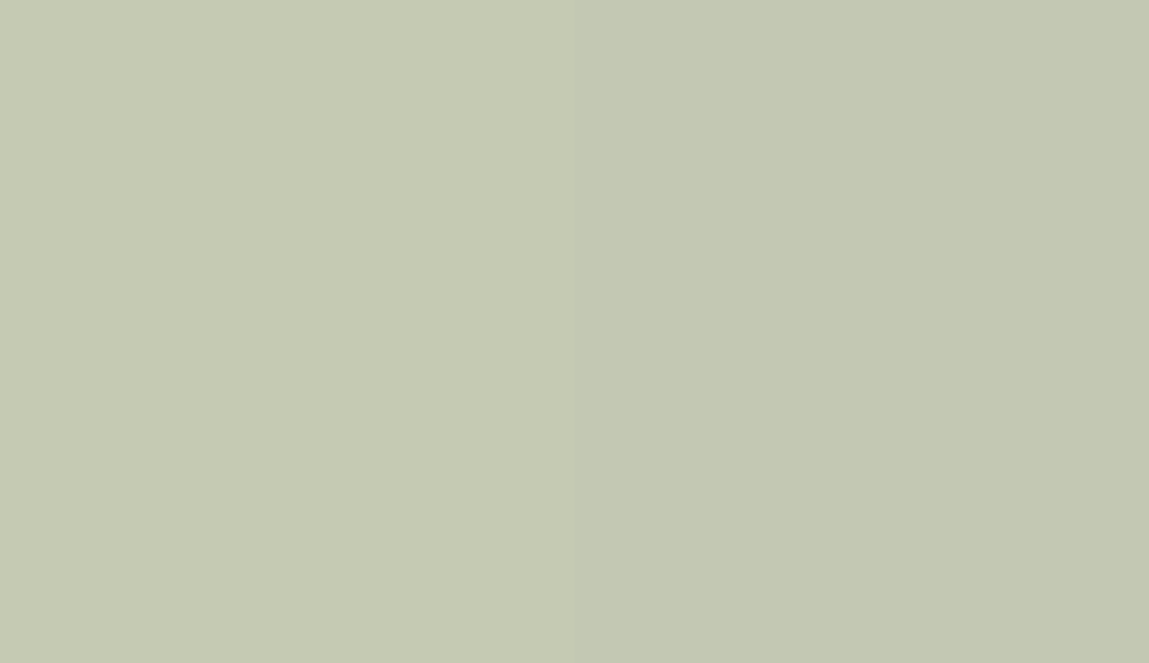 HEX #C5CAB3 to RAL 120 80 10 HEX #C5CAB3 to RAL 120 80 10
