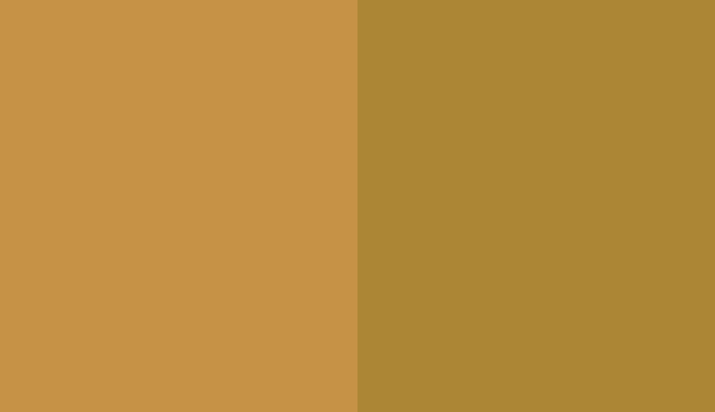 HEX #C69246 to RAL 1027