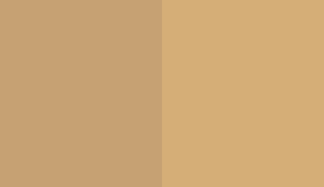 HEX #C6A173 to RAL 1002 HEX #C6A173 to RAL 1002