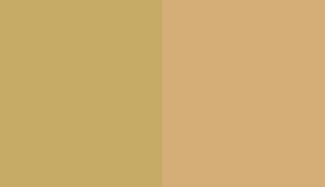 HEX #C6AB67 to RAL 1002