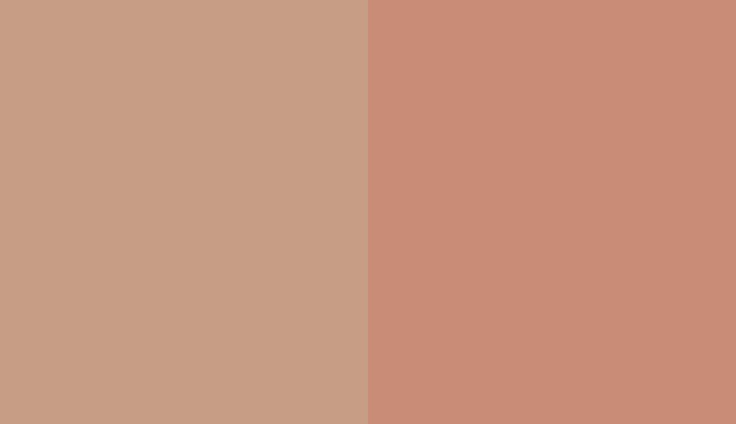 HEX #C79D86 to RAL 3012 HEX #C79D86 to RAL 3012