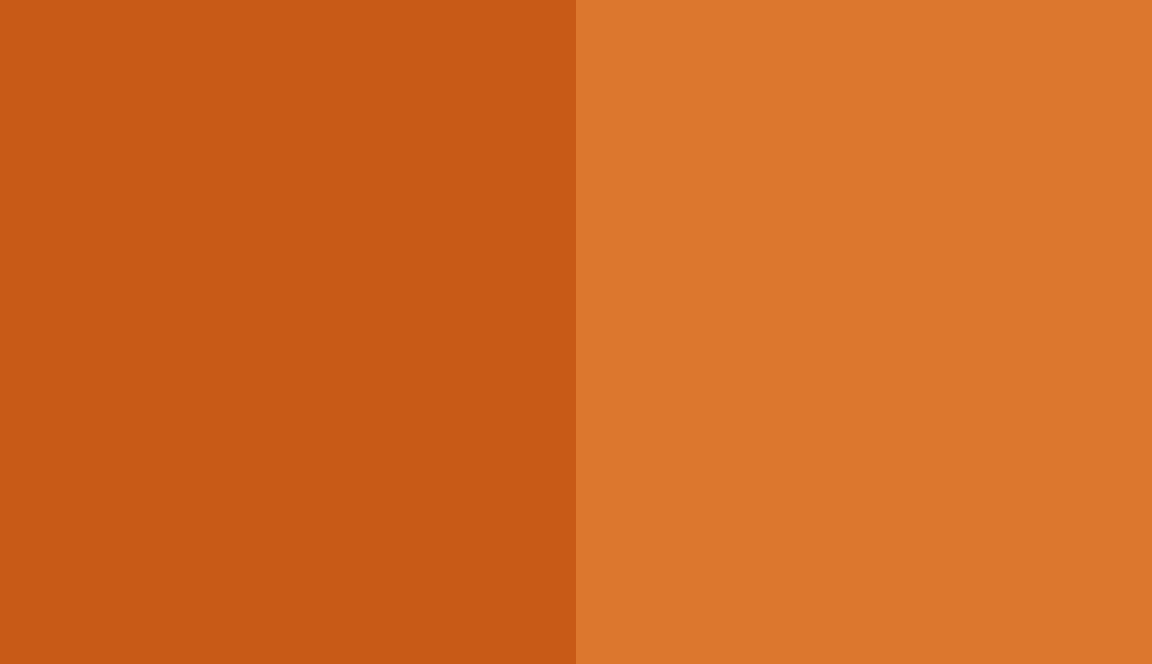 HEX #C85A17 to RAL 2000