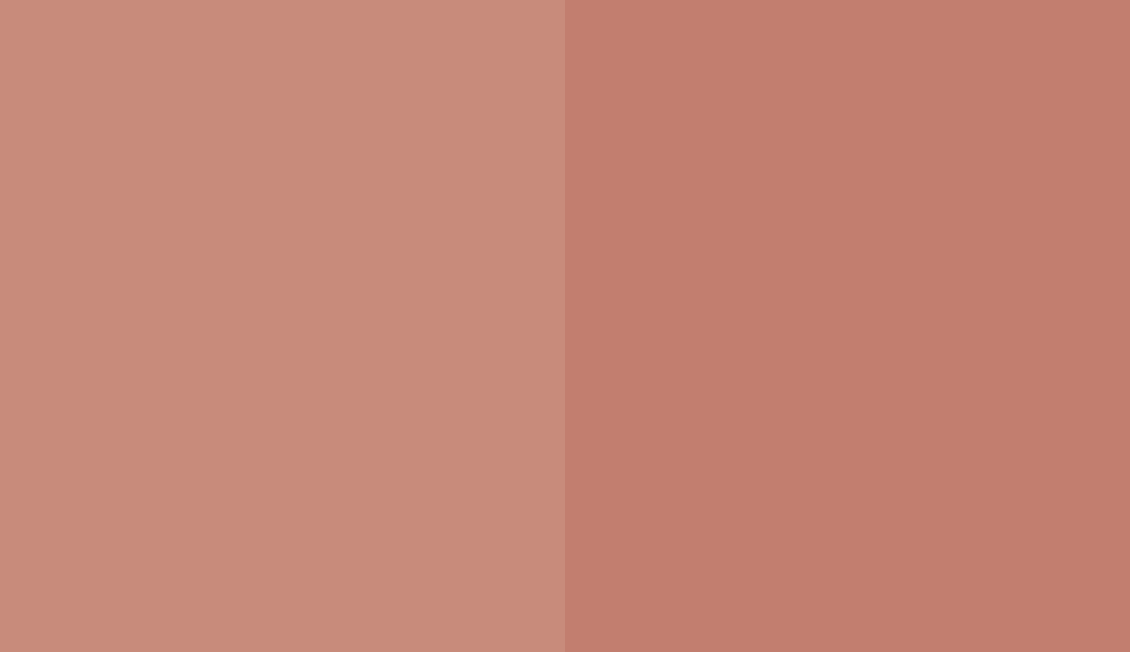 HEX #C88B7B to RAL 040 60 30 HEX #C88B7B to RAL 040 60 30