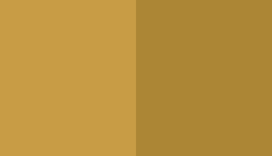 HEX #C89C45 to RAL 1027 HEX #C89C45 to RAL 1027