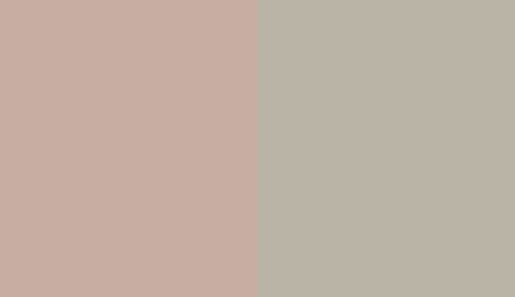 HEX #C8ADA2 to RAL 7032 HEX #C8ADA2 to RAL 7032