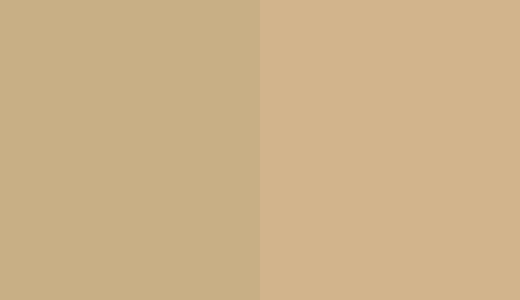 HEX #C8AF85 to RAL 1001 HEX #C8AF85 to RAL 1001