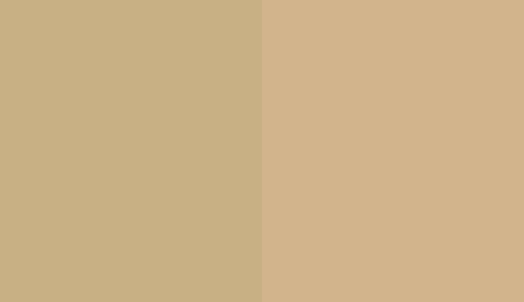 HEX #C8B084 to RAL 1001 HEX #C8B084 to RAL 1001