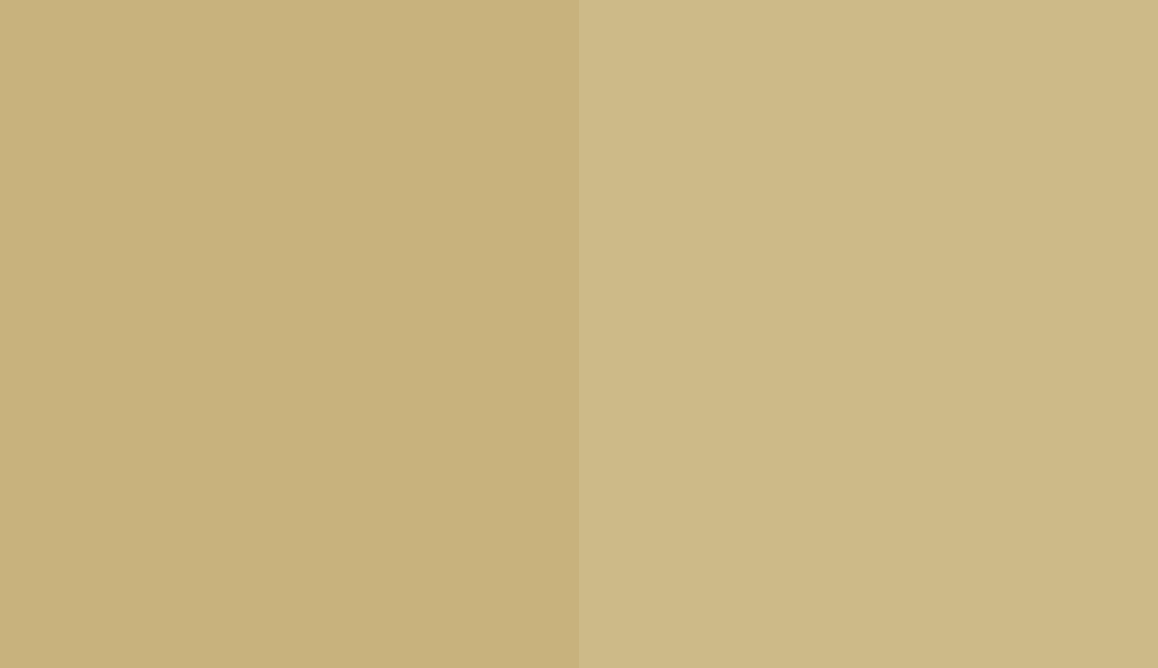 HEX #C8B27D to RAL 1000