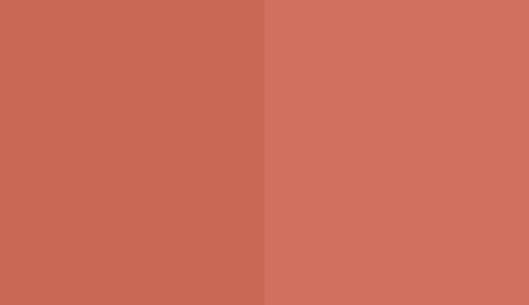 HEX #C96855 to RAL 3022 HEX #C96855 to RAL 3022