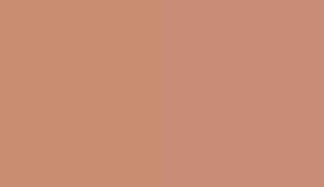 HEX #C98D72 to RAL 3012