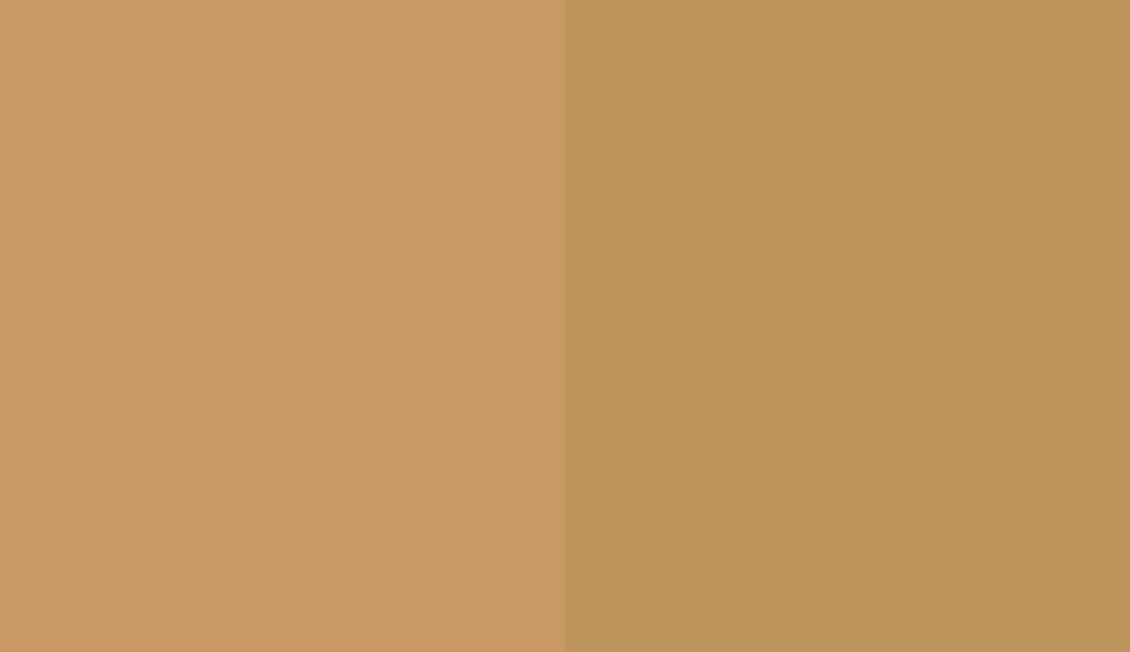 HEX #C99965 to RAL 1024