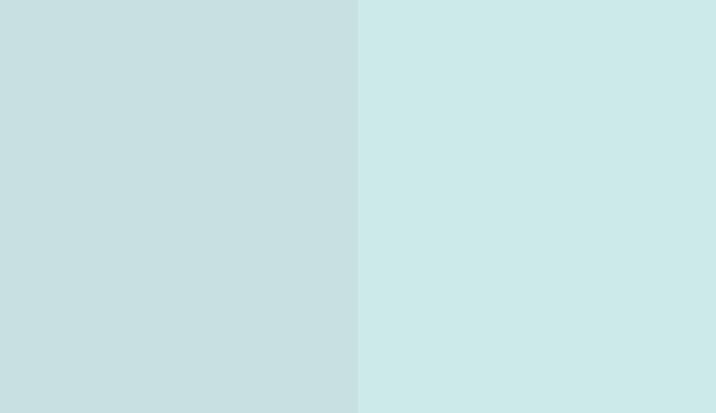 HEX #C9E0E0 to RAL 210 90 10