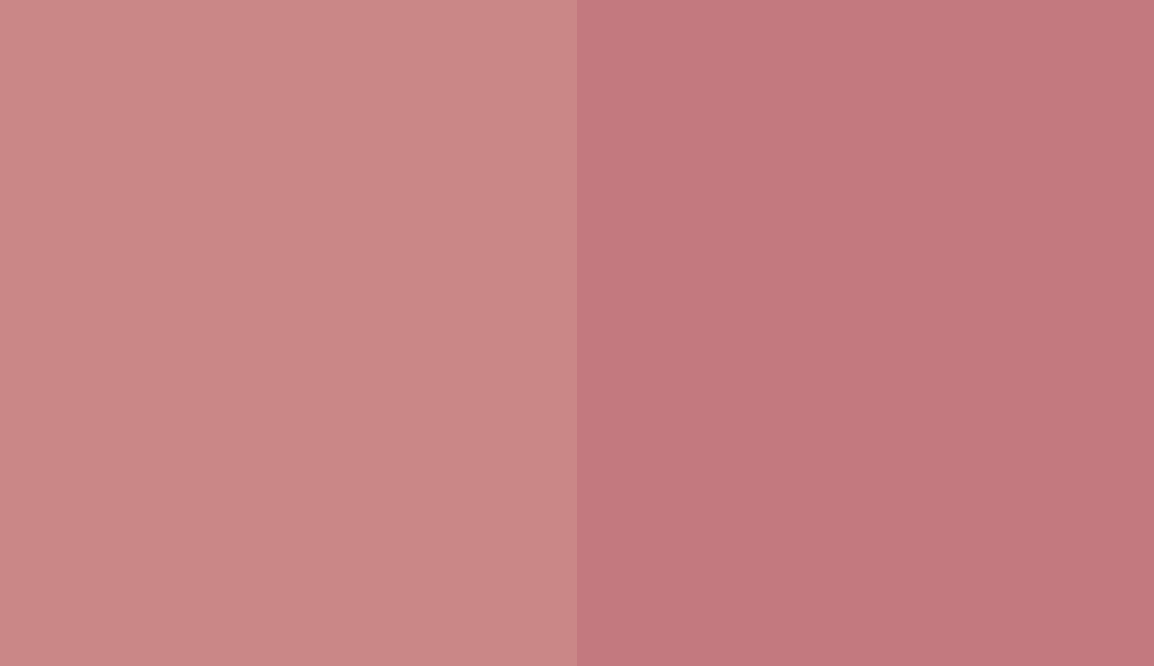 HEX #CA8787 to RAL 020 60 30