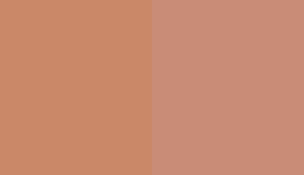 HEX #CA8868 to RAL 3012 HEX #CA8868 to RAL 3012