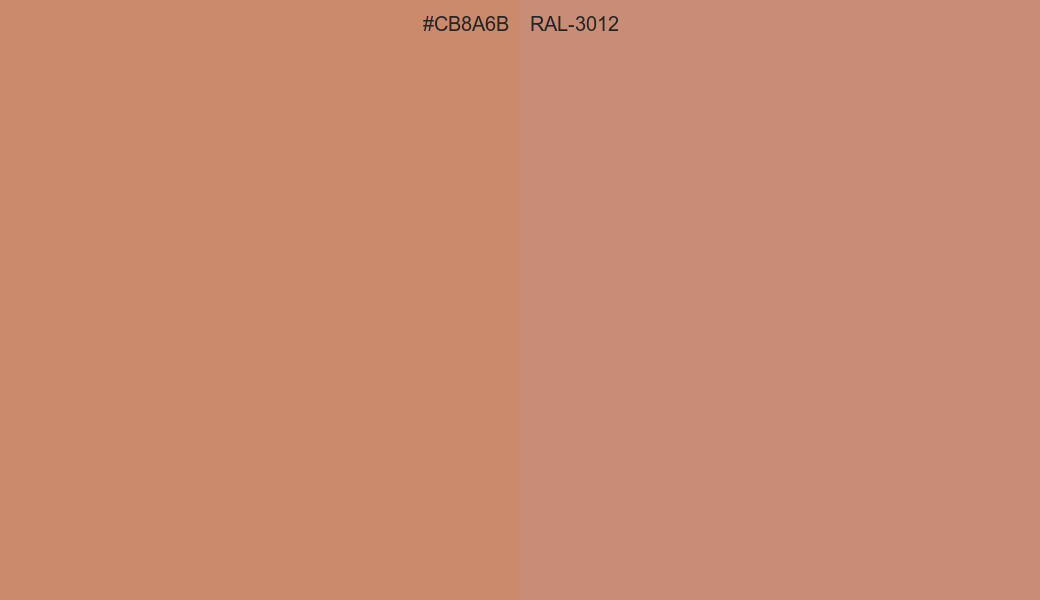 HEX Color CB8A6B to RAL 3012 Conversion comparison