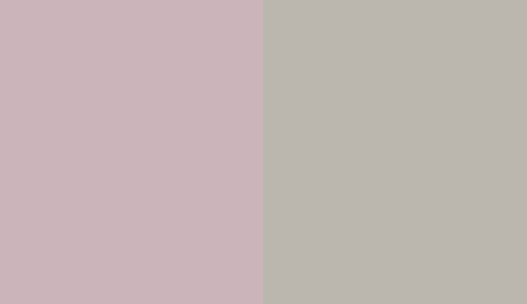 HEX #CBB5BB to RAL 7044