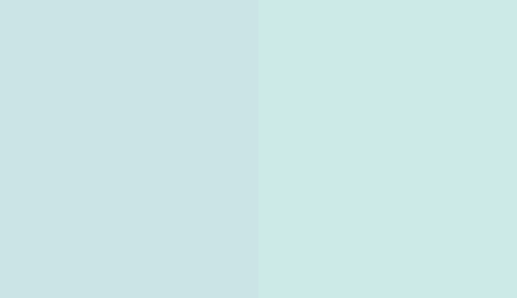HEX #CBE4E6 to RAL 210 90 10 HEX #CBE4E6 to RAL 210 90 10