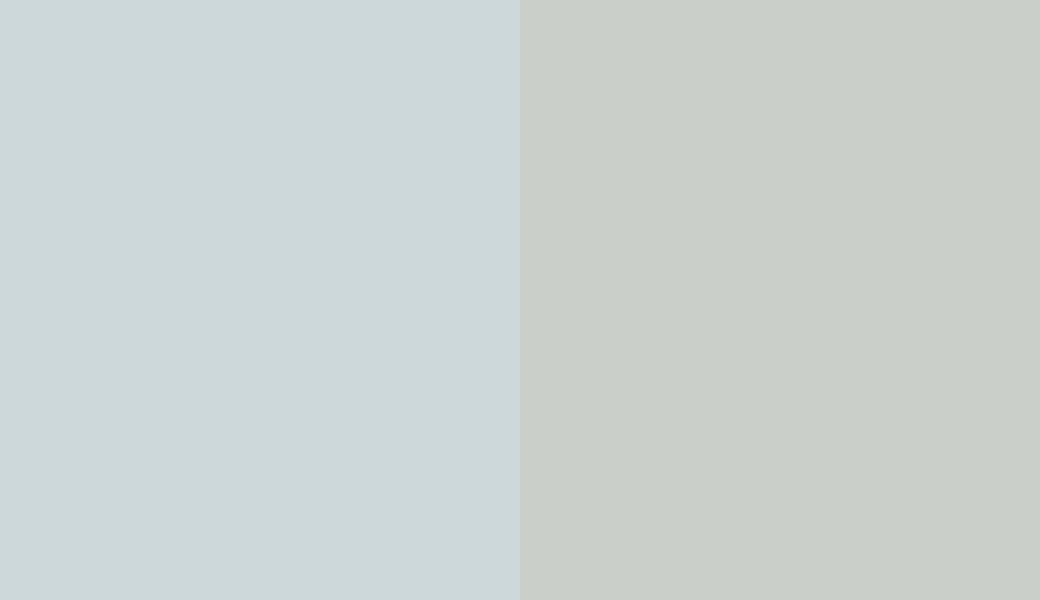 HEX #CCD8D9 to RAL 9018