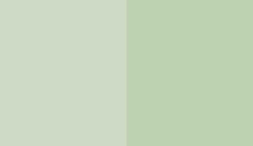 HEX #CCD9C2 to RAL 6019 HEX #CCD9C2 to RAL 6019