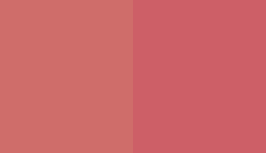 HEX #CF6D6A to RAL 3017 HEX #CF6D6A to RAL 3017