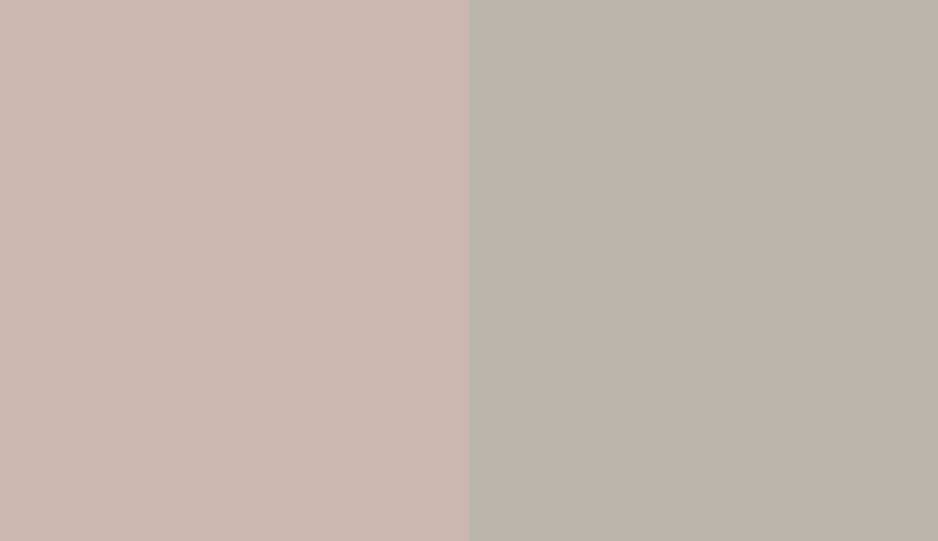 HEX #CFB7B1 to RAL 7044