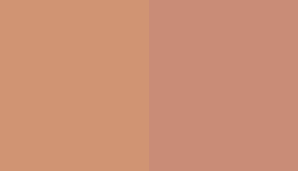 HEX #D09473 to RAL 3012 HEX #D09473 to RAL 3012