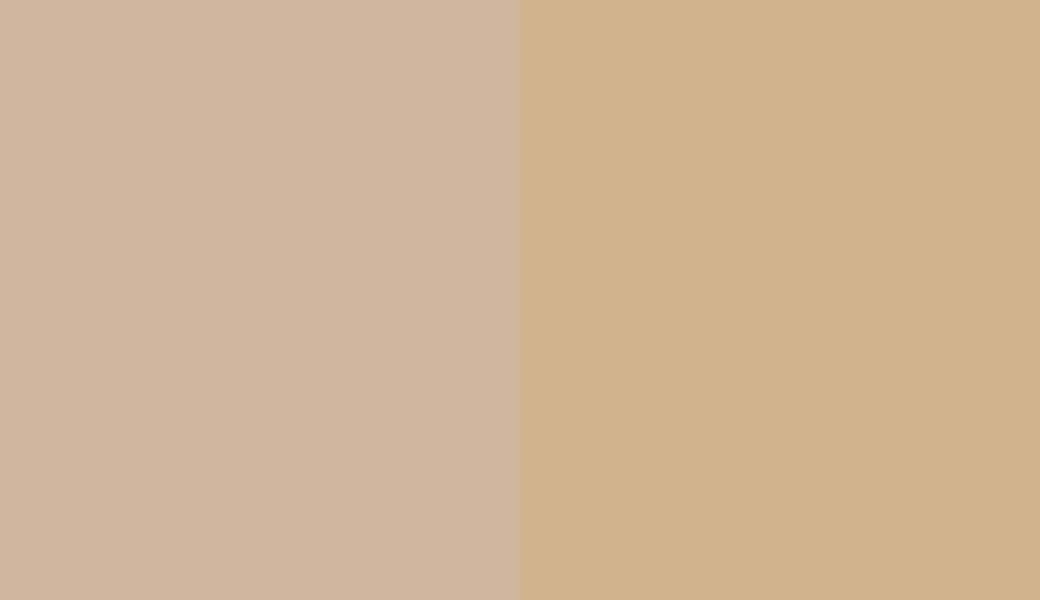HEX #D1B69E to RAL 1001 HEX #D1B69E to RAL 1001