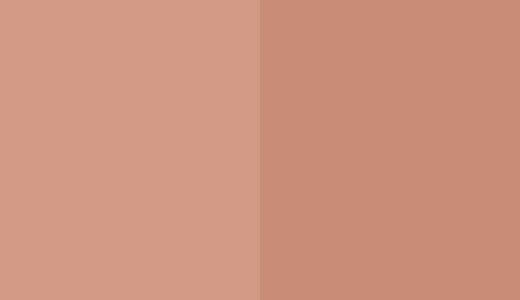 HEX #D29A84 to RAL 3012