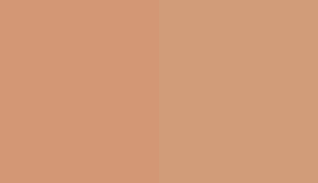 HEX #D39775 to RAL 060 70 30 HEX #D39775 to RAL 060 70 30