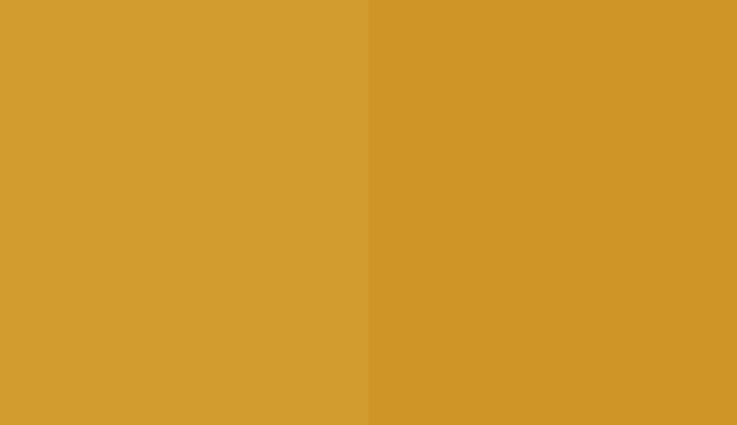 HEX #D39C2F to RAL 1005