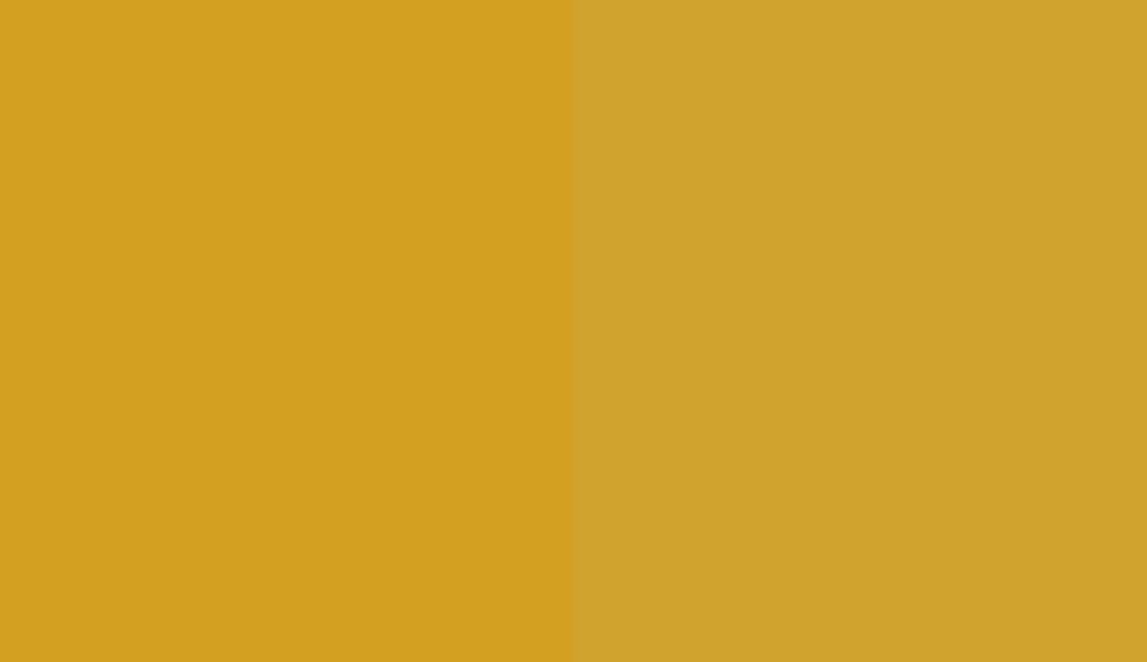 HEX #D3A022 to RAL 085 70 60