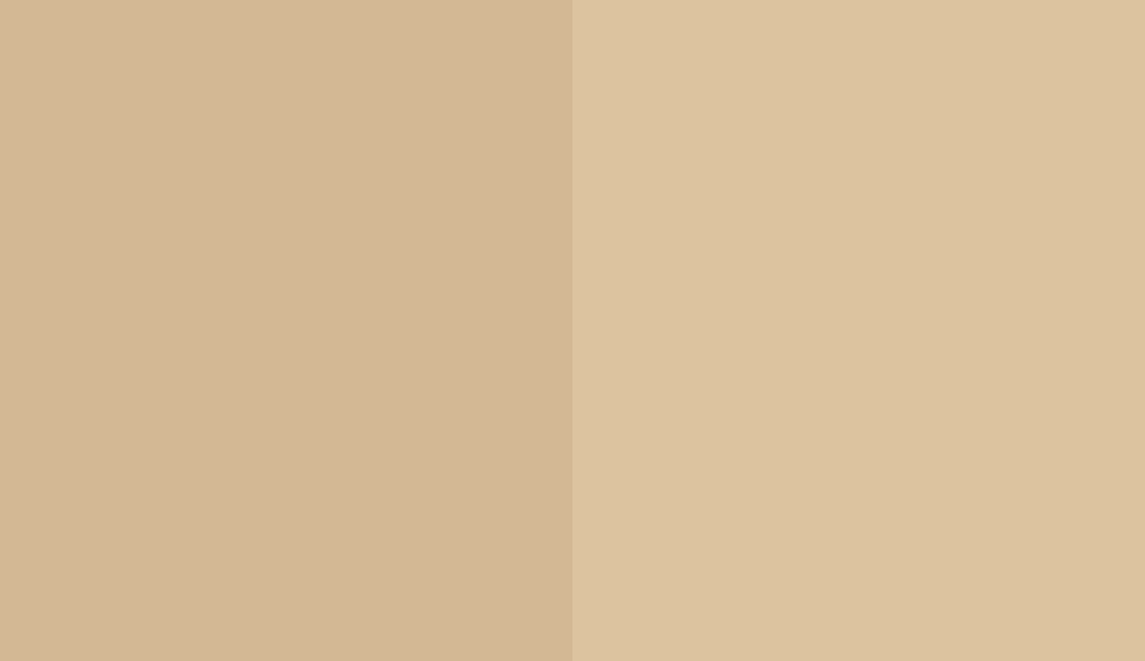 HEX #D3B894 to RAL 080 80 20