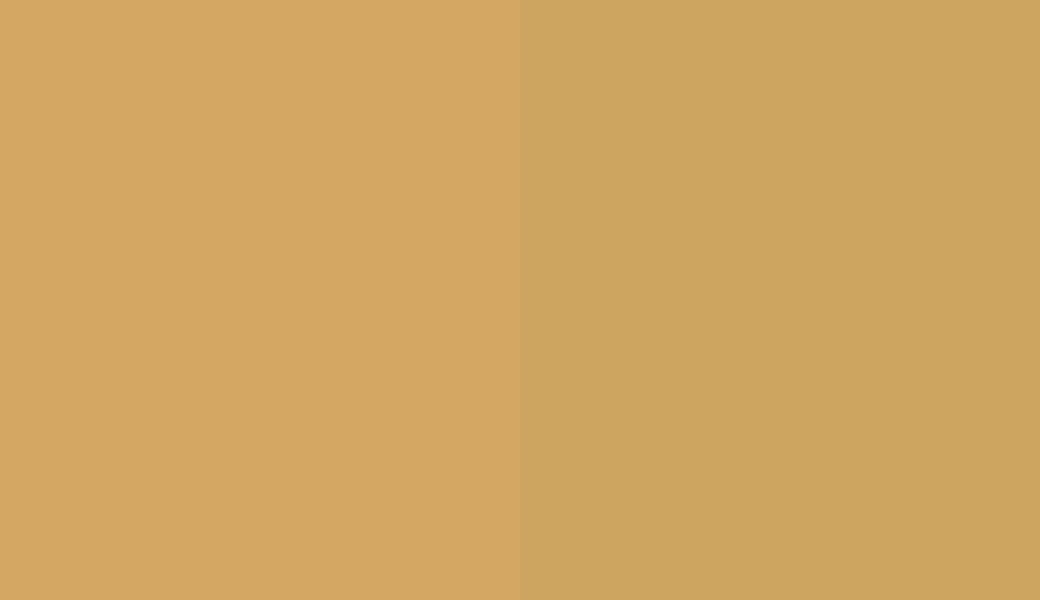 HEX #D4A762 to RAL 080 70 40