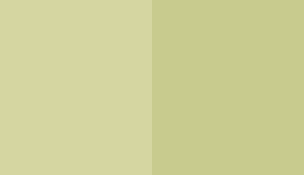 HEX #D5D6A1 to RAL 110 80 30