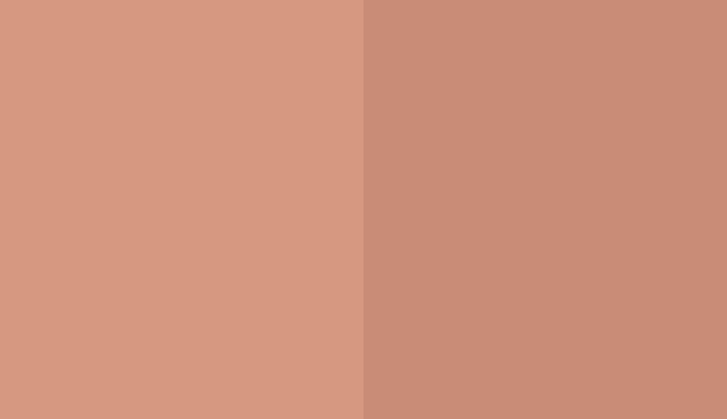 HEX #D69881 to RAL 3012 HEX #D69881 to RAL 3012