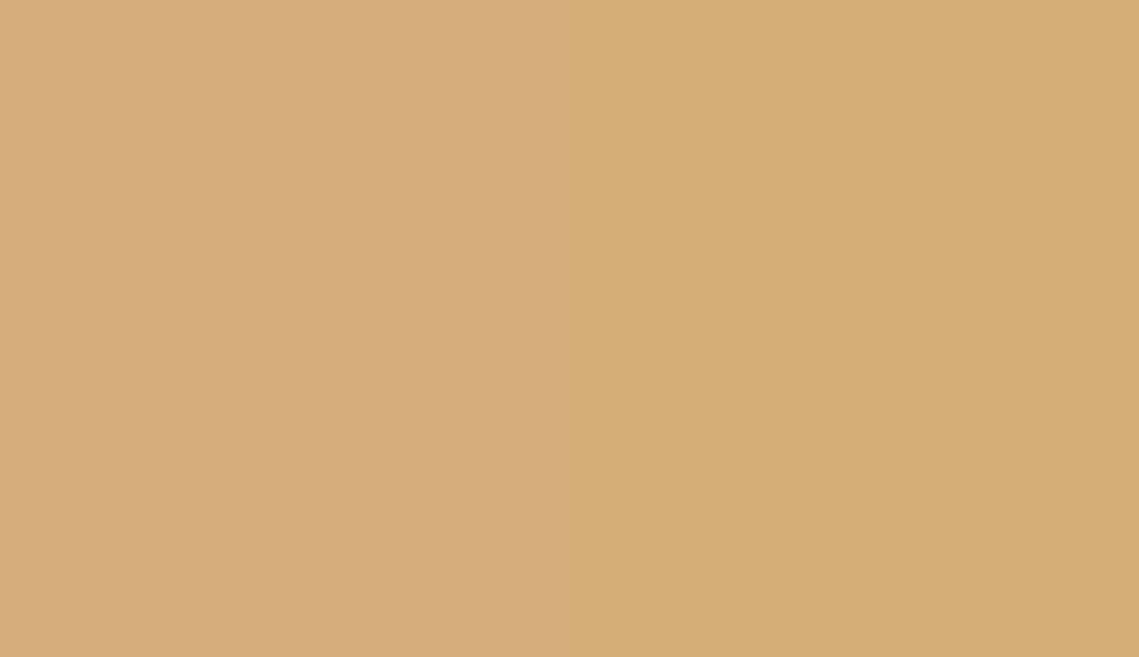 HEX #D6AD7C to RAL 1002