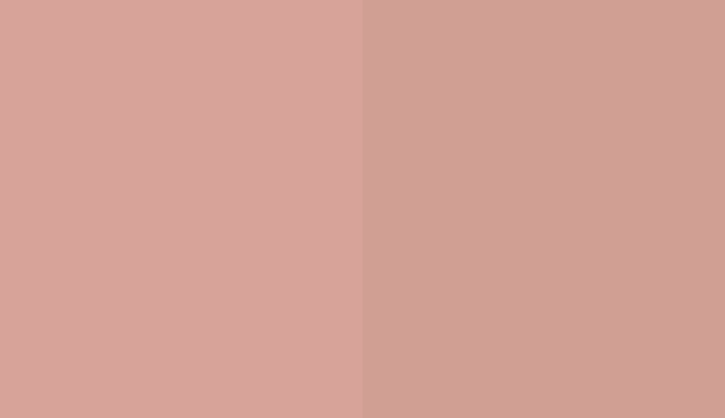 HEX #D7A399 to RAL 040 70 20