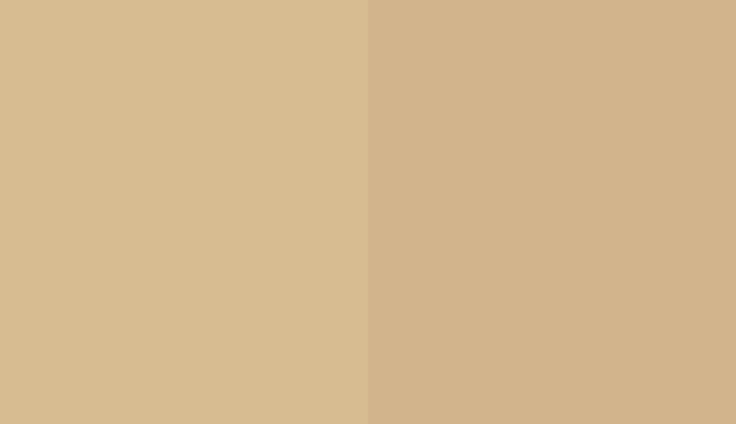 HEX #D7BC91 to RAL 1001