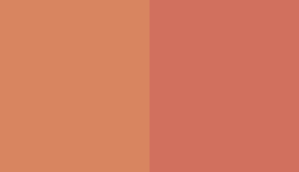 HEX #D88560 to RAL 3022 HEX #D88560 to RAL 3022