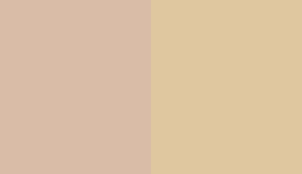 HEX #D9BCA7 to RAL 1014