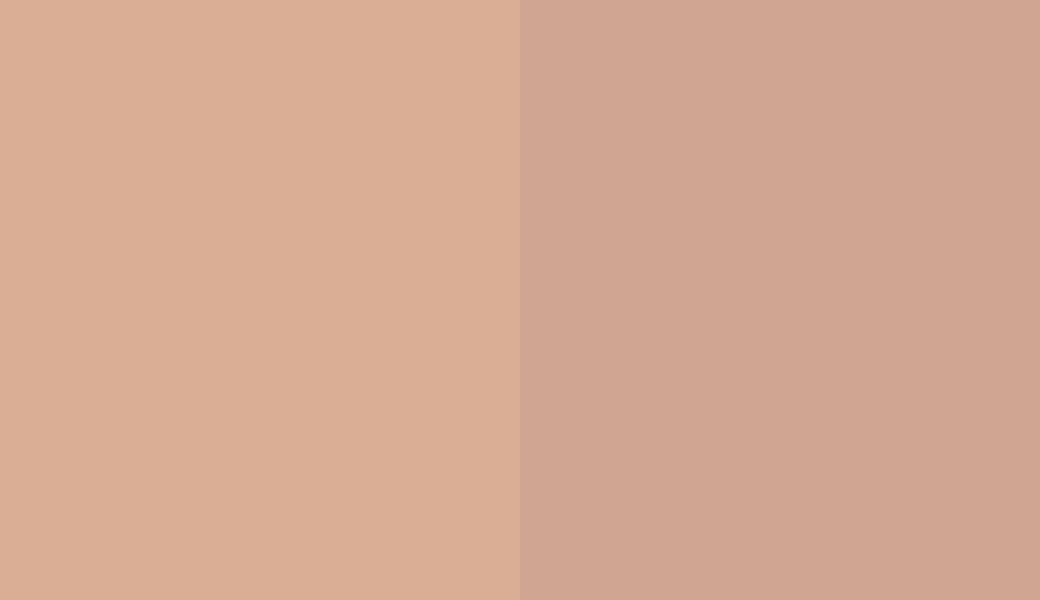 HEX #DAAE94 to RAL 050 70 20 HEX #DAAE94 to RAL 050 70 20
