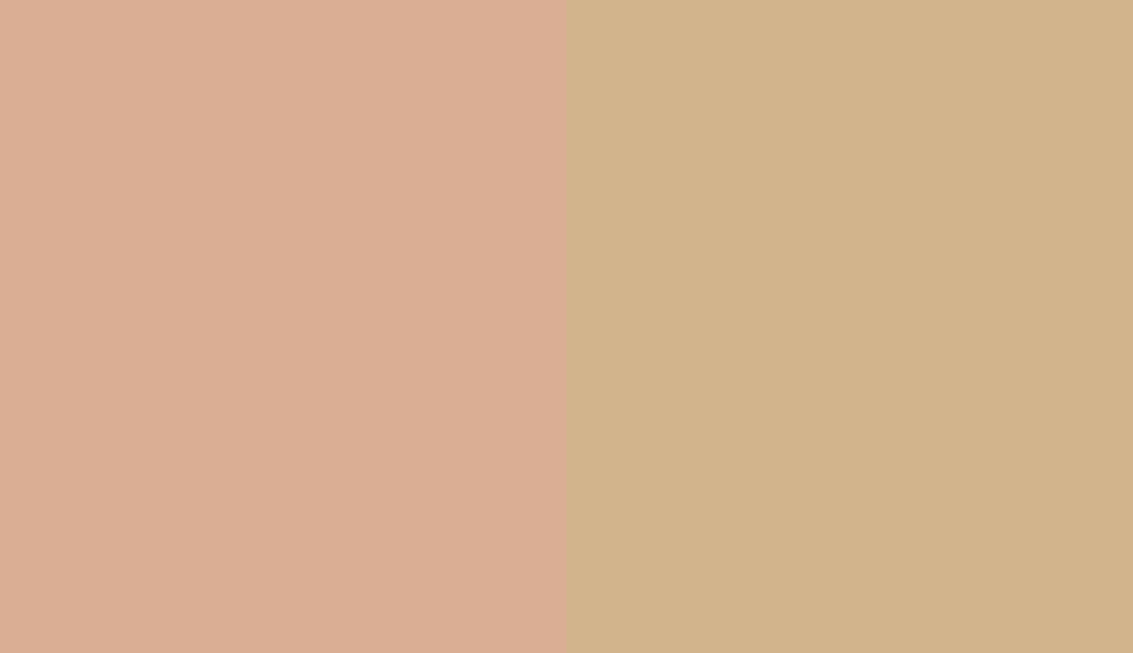 HEX #DAAE94 to RAL 1001