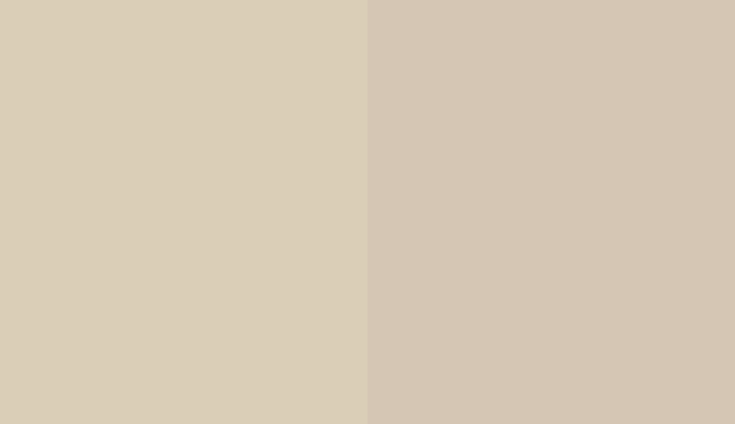 HEX #DACEB7 to RAL 080 80 10 HEX #DACEB7 to RAL 080 80 10