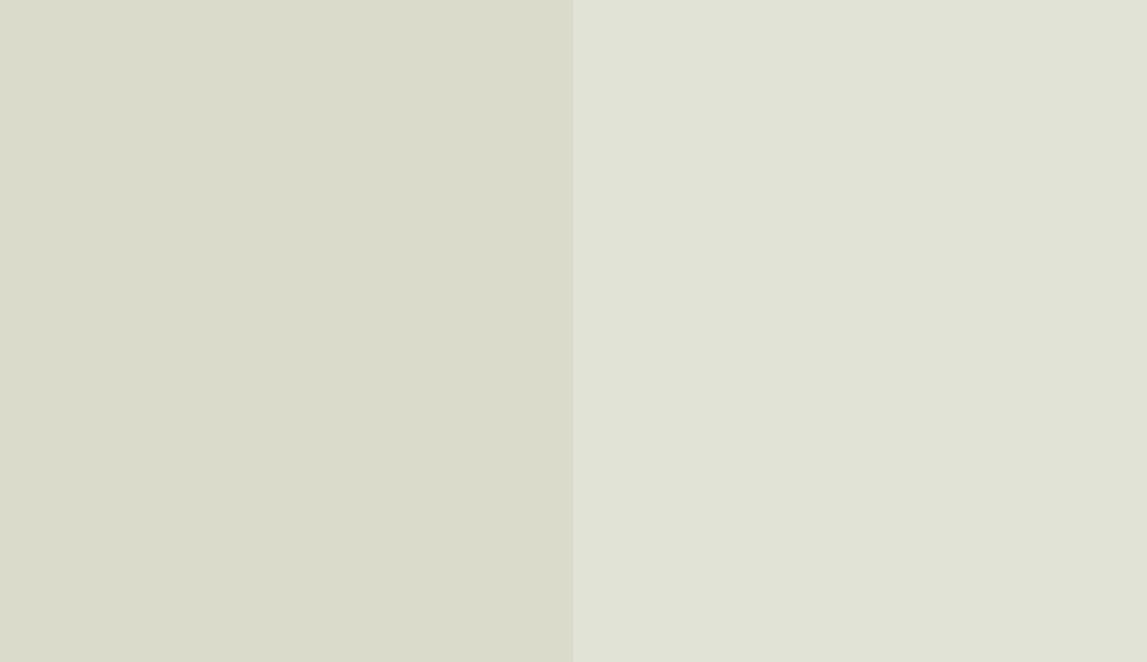 HEX #DADBCA to RAL 120 90 05