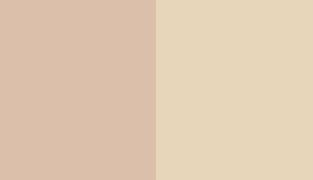 HEX #DBBFAB to RAL 1015 HEX #DBBFAB to RAL 1015