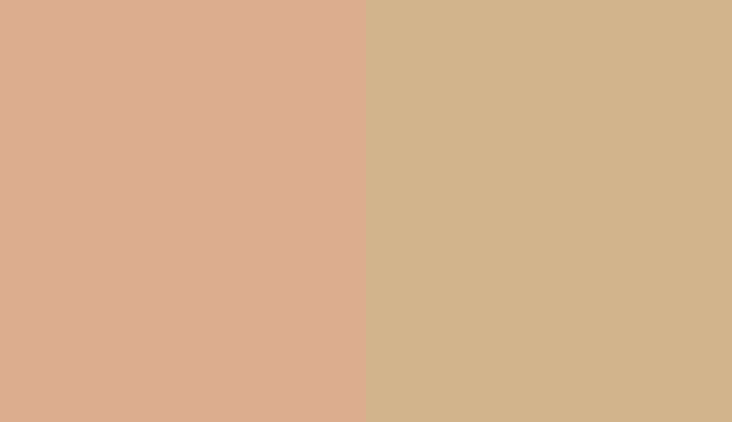 HEX #DCAD8E to RAL 1001