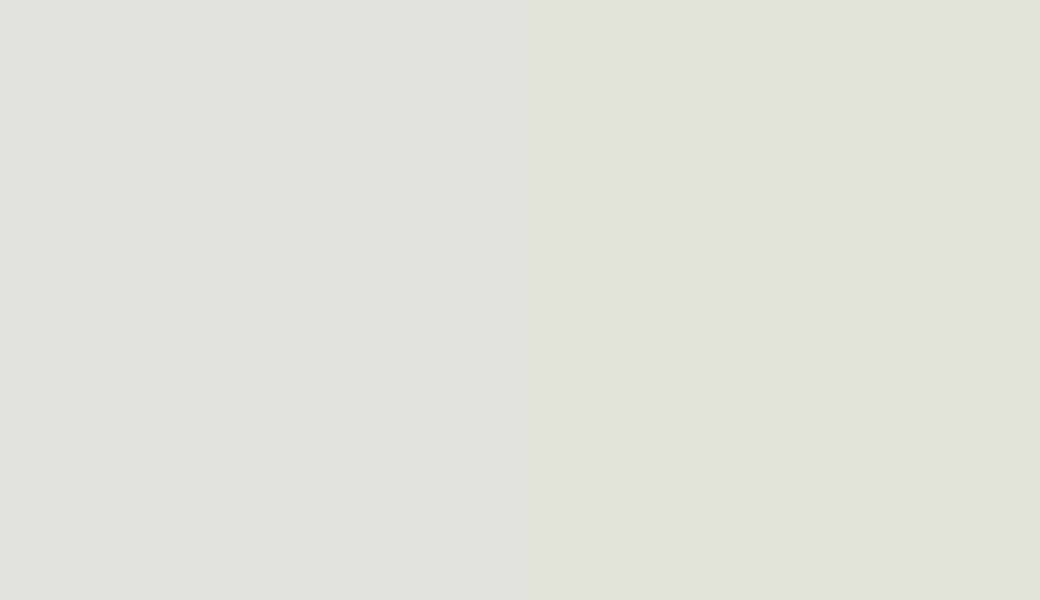 HEX #DDE0DA to RAL 130 90 05