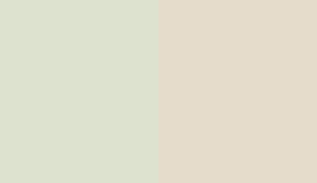 HEX #DDE2CF to RAL 1013