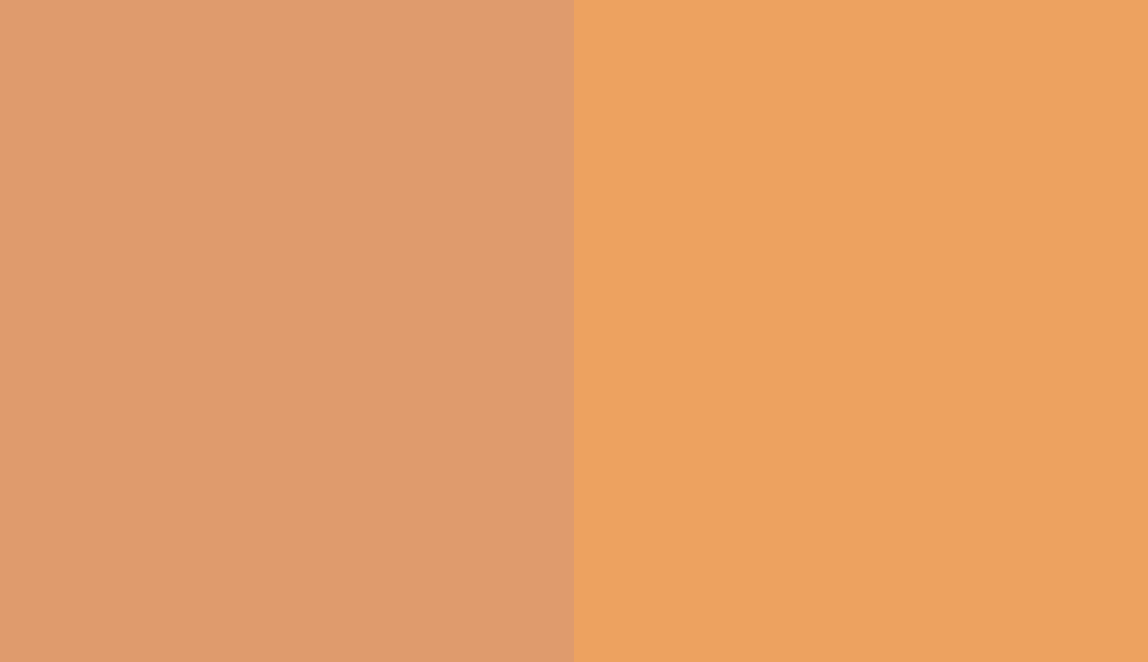 HEX #DF9B6D to RAL 1034