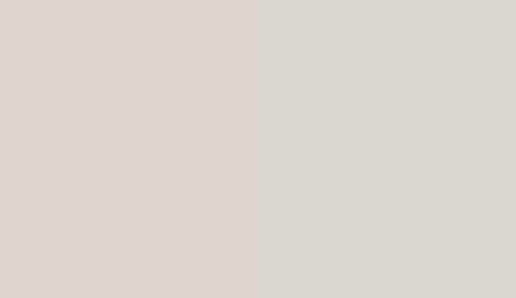 HEX #E0D4CF to RAL 9002